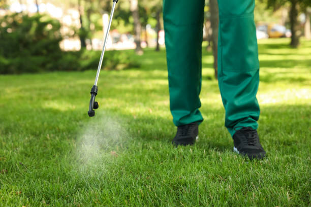 Best Pest Control Cost  in Monticello, KY