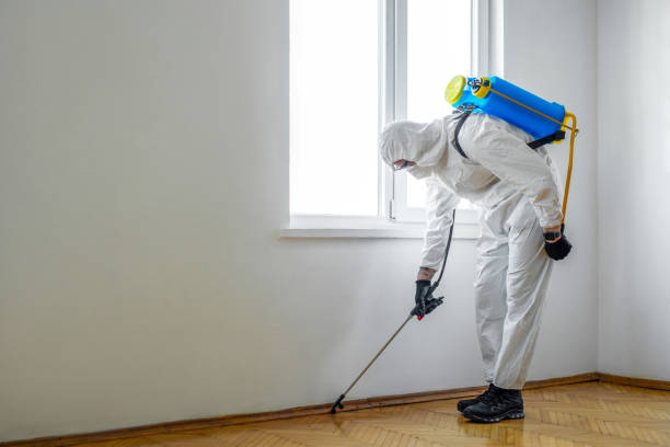 Best Wildlife Control Services  in Monticello, KY