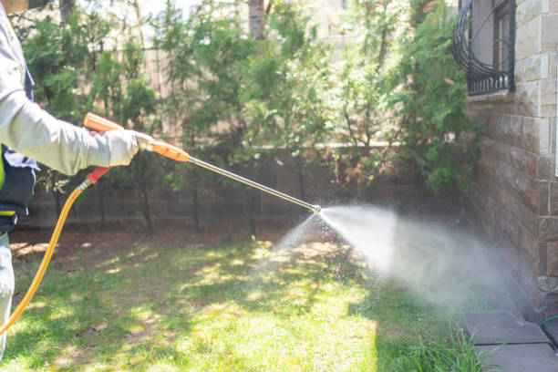 Pest Prevention Services in Monticello, KY