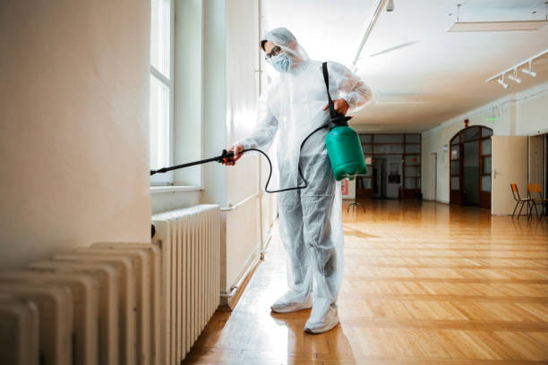 Best Flea Control Services  in Monticello, KY