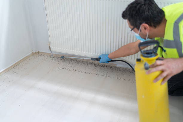 Best Affordable Pest Control Services  in Monticello, KY