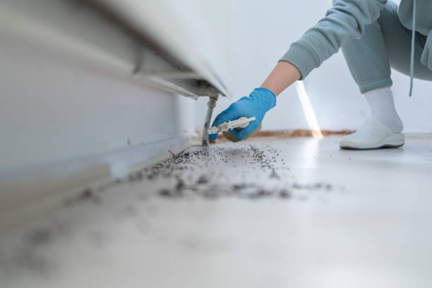 Best Emergency Pest Control  in Monticello, KY