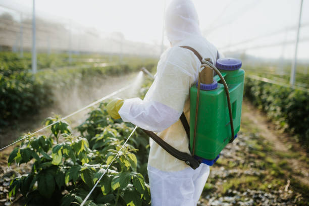 Monticello, KY Pest Control Company